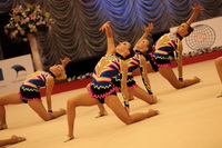 © ВФЭГ (RFAG)