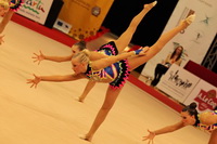 © ВФЭГ (RFAG)
