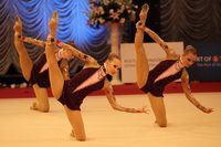 © ВФЭГ (RFAG)