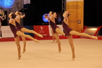 © ВФЭГ (RFAG)