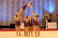© ВФЭГ (RFAG)