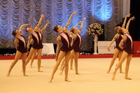 © ВФЭГ (RFAG)