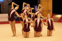 © ВФЭГ (RFAG)