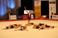 © ВФЭГ (RFAG)