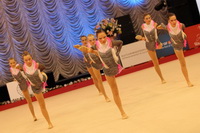 © ВФЭГ (RFAG)