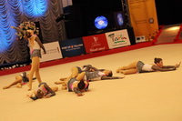 © ВФЭГ (RFAG)