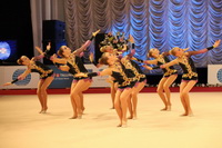 © ВФЭГ (RFAG)