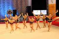 © ВФЭГ (RFAG)