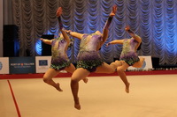© ВФЭГ (RFAG)