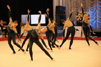 © ВФЭГ (RFAG)