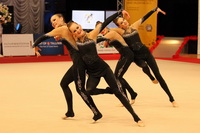© ВФЭГ (RFAG)