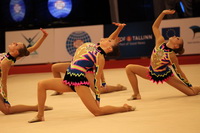 © ВФЭГ (RFAG)