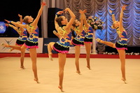 © ВФЭГ (RFAG)