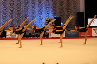 © ВФЭГ (RFAG)