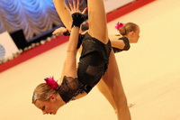 © ВФЭГ (RFAG)