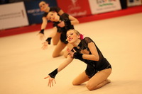 © ВФЭГ (RFAG)
