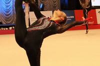 © ВФЭГ (RFAG)