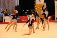 © ВФЭГ (RFAG)