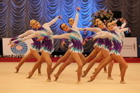 © ВФЭГ (RFAG)