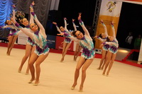 © ВФЭГ (RFAG)