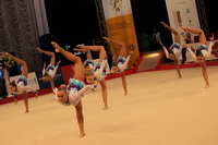 © ВФЭГ (RFAG)