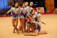 © ВФЭГ (RFAG)
