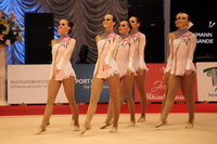 © ВФЭГ (RFAG)