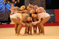 © ВФЭГ (RFAG)