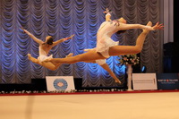© ВФЭГ (RFAG)