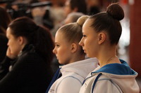 © ВФЭГ (RFAG)