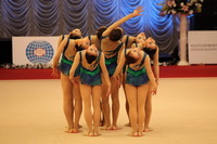 © ВФЭГ (RFAG)