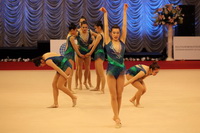 © ВФЭГ (RFAG)