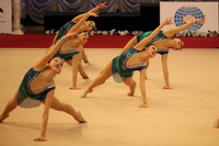 © ВФЭГ (RFAG)