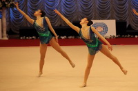 © ВФЭГ (RFAG)