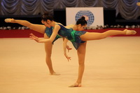 © ВФЭГ (RFAG)