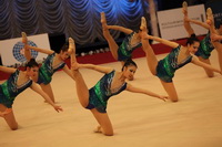 © ВФЭГ (RFAG)