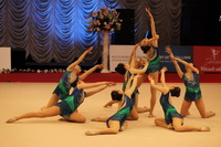 © ВФЭГ (RFAG)