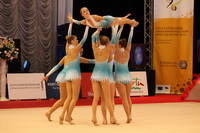 © ВФЭГ (RFAG)