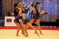 © ВФЭГ (RFAG)