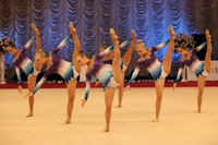 © ВФЭГ (RFAG)