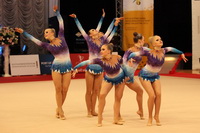 © ВФЭГ (RFAG)