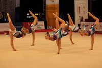 © ВФЭГ (RFAG)