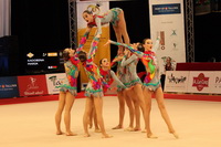 © ВФЭГ (RFAG)