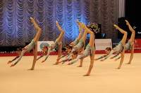 © ВФЭГ (RFAG)