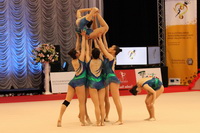 © ВФЭГ (RFAG)
