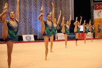 © ВФЭГ (RFAG)