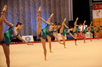 © ВФЭГ (RFAG)