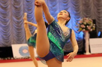 © ВФЭГ (RFAG)