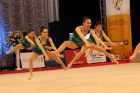 © ВФЭГ (RFAG)