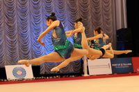 © ВФЭГ (RFAG)